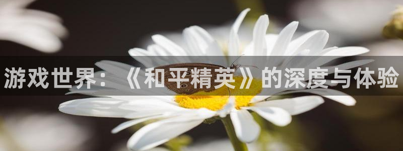 优贝娱乐网址注册：游戏世界：《和平精英》的深度与体验
