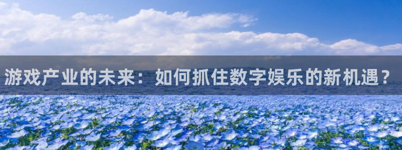 优贝娱乐网址注册：游戏产业的未来：如何抓住数字娱乐的新机遇？