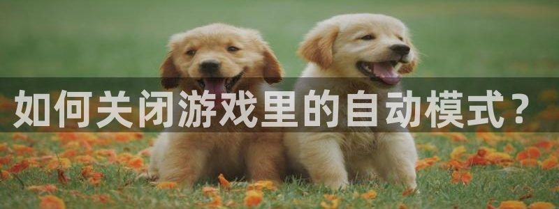 优贝娱乐官网：如何关闭游戏里的自动模式？