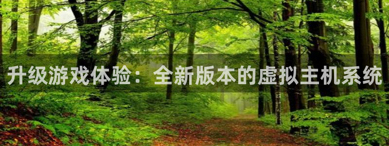 优贝娱乐注册服务条款：升级游戏体验：全新版本的虚拟主机系统