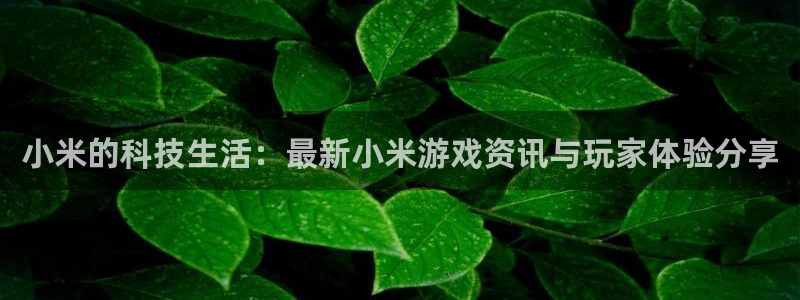 优贝娱乐注册登录：小米的科技生活：最新小米游戏资讯与玩家体验