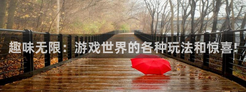 优贝娱乐代理登陆：趣味无限：游戏世界的各种玩法和惊喜!